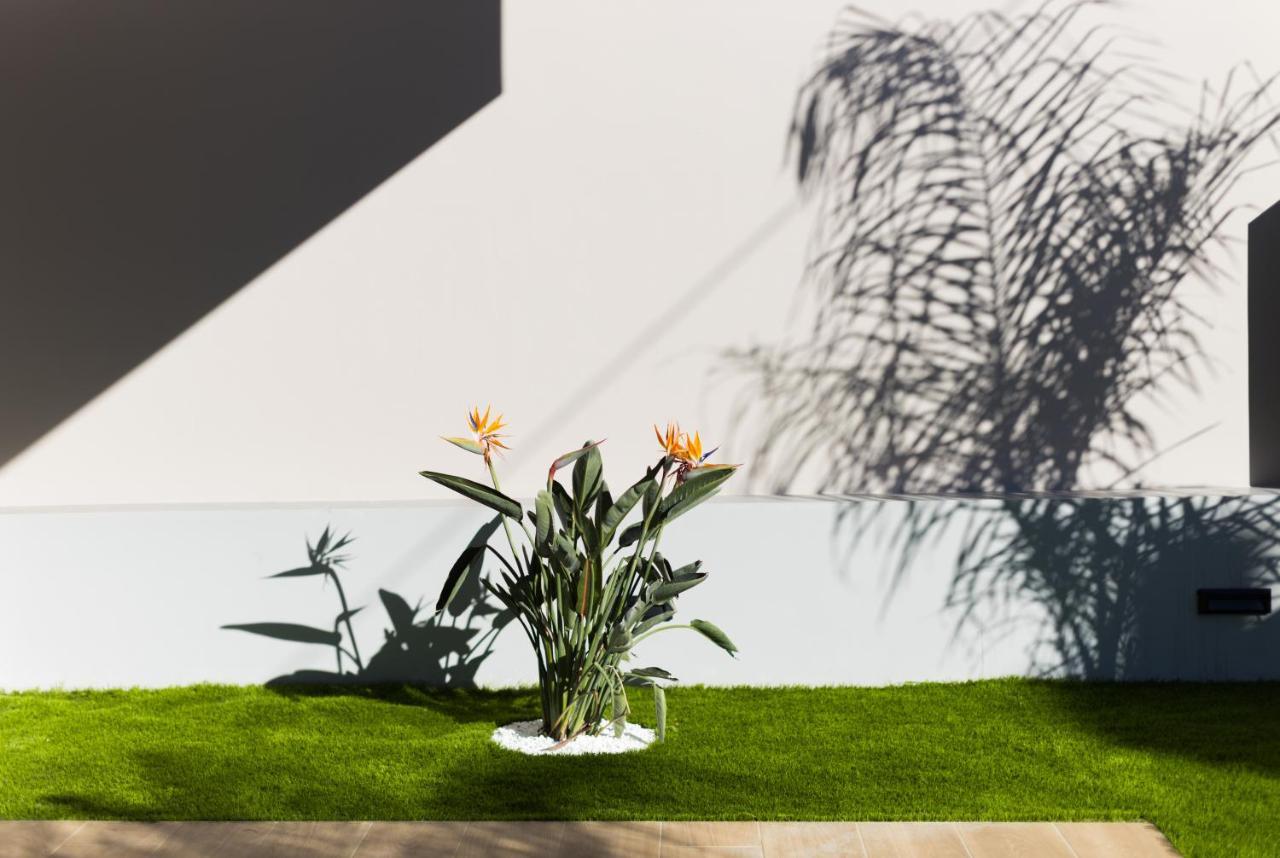 Vida Omirou Residences ナフプリオ エクステリア 写真